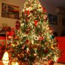 Alex Panagiotopoulos's Christmas tree from Rodos, Greece