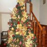 PAO ALLMORE's Christmas tree from Lima, Peru