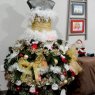 Aurore's Christmas tree from Saint Désir