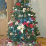 Lucas45's Christmas tree from Orléans, France