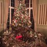 Fadia's Christmas tree from Toronto, Ontario, Canada