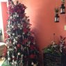 FRANKO CORDOVA's Christmas tree from Lima, Perú