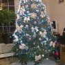 Ada/Tania Alvarenga 's Christmas tree from Inwood, NY, USA