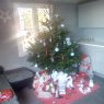 Tessy's Christmas tree from Trilbardou, France