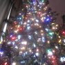 Jonathan Harvey's Christmas tree from Lake Worth, FL, USA
