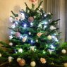 Donya's Christmas tree from Paris, France