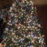 Benjamin Nelson's Christmas tree from USA