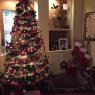 Weihnachtsbaum von Laura Parente-Comsa (Fort Lauderdale, FL, USA)