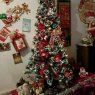 Noemi Diaz's Christmas tree from New York, USA