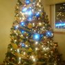 Yolimar's Christmas tree from Galicia, España
