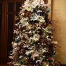Tamar Tsitsishvili-Cowgill's Christmas tree from Tbilisi, Georgia, USA