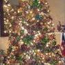 Maria Alicia Suarez's Christmas tree from Ca, USA