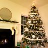 Meg Raj's Christmas tree from Nashville, TN, USA
