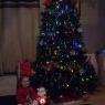 Georgie's Christmas tree from Basildon, Essex, UK
