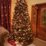 Karissa Baksh's Christmas tree from Trinidad and Tobago