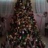 Marta Rivera Vega's Christmas tree from Coamo, Puerto Rico