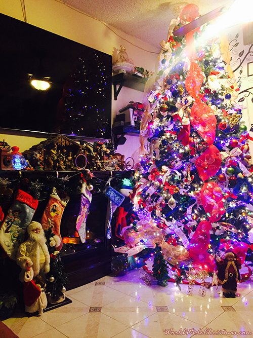 Xavier & Linda Sacta 9ft  Christmas Tree (Queens, NY, USA)