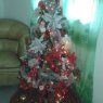 Erika Perez's Christmas tree from Vargas, Venezuela