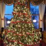 Do Warren Hoyse's Christmas tree from Warrenton,  Oregon, USA