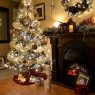 Hugh SOMERS's Christmas tree from MIRAMICHI, NB, CANADA