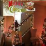 Árbol de Navidad de Hermanos Cuellar (Columbia, South Carolina, USA)