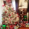 TARA ANDREWS's Christmas tree from BATON ROUGE, LOUISIANA, USA