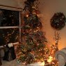 Dawna Schroeder's Christmas tree from Spanaway, WA 98387, USA