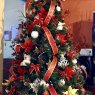 Gerardo Pablo Gallo's Christmas tree from Argentina