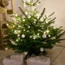 Weihnachtsbaum von Pitri (Schweiz)