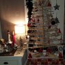 chouchou's Christmas tree from gujan mestras, France