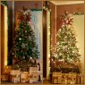Brandy 's Christmas tree from Louisiana, USA