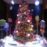 People's Trust Bank. Jan Bowen 's Christmas tree from Hackleburg, Alabama, USA