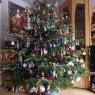 Andreas Pfau's Christmas tree from Friedrichshafen