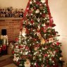 The Wonder of Wonders's Christmas tree from Liverpool NY USA