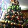 MIRIAM's Christmas tree from CDMX