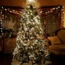 Andrea Sabia's Christmas tree from Yorktown Heights, New York, USA