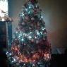 Mia barreras and Mayra barreras's Christmas tree from San Jose, california, USA
