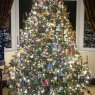 Shaun Mooney's Christmas tree from Bridlington, East Yorkshire, England