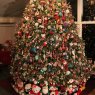 The Petree Family's Christmas tree from High Rock Lake, NC, USA