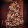 Pretty in pink's Christmas tree from Thorold, ontario, Canada
