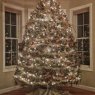 Jolene Kwasnik's Christmas tree from Norwich, CT, USA