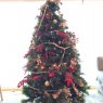 Andrea Acosta Masso's Christmas tree from Madrid, España