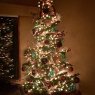 Kim Seney's Christmas tree from Dayton, WA, USA