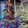 Elisabeth 's Christmas tree from Syrgenstein Bayern, Germany