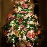 Weihnachtsbaum von Anna Tsitsishvili-Cowgill (Tbilisi Georgia)