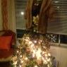 Connie Hemingway's Christmas tree from Somerset N.J., USA