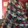 Garry Pope's Christmas tree from Campbellton, NL, Canada