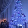 Cristy´s tree's Christmas tree from México 