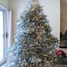 ellie's Christmas tree from NY, NY