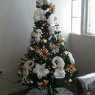 Maria's Christmas tree from Puerto Rico